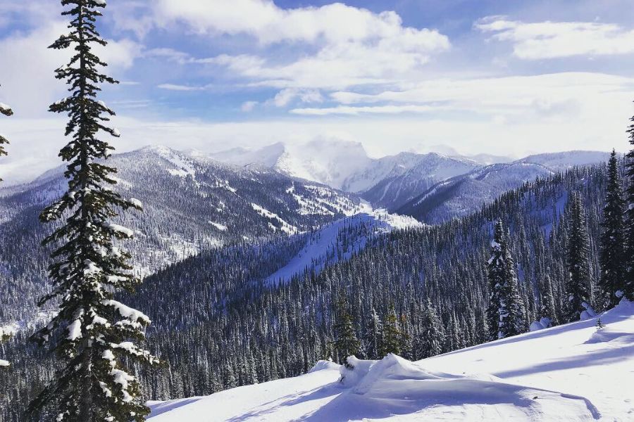 View from the top of a cat skiing run overlooking snow covered mountains and forest