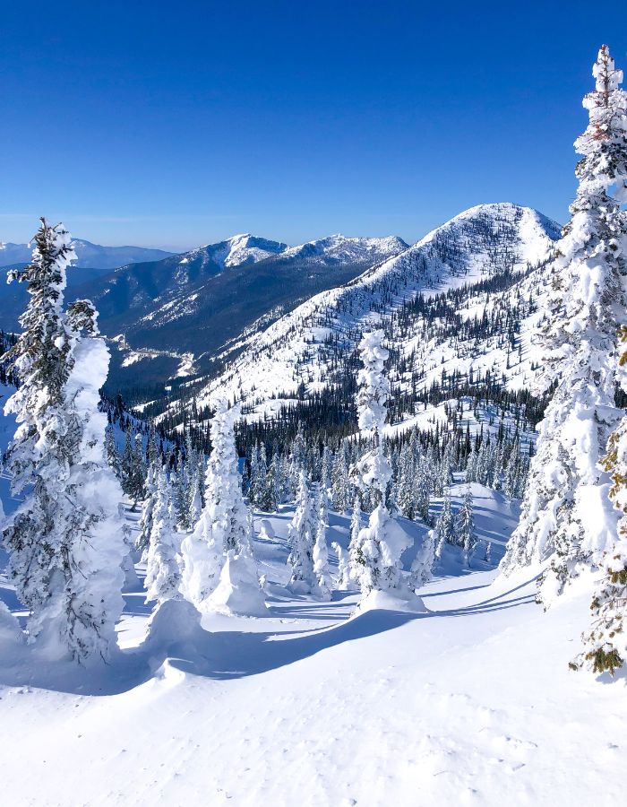 View looking out though snowy trees at a snow covered mountain range.