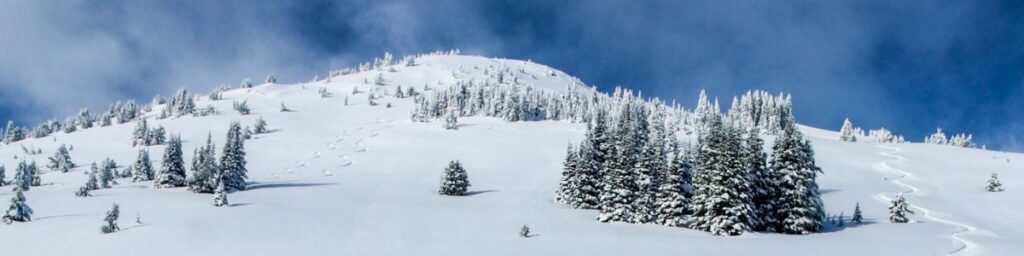 View looking up at a snow covered mountain with fresh ski tracks