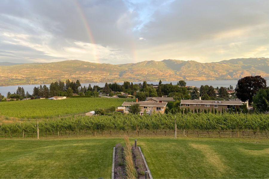 View overlooking a lake, mountains and vineyards